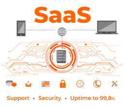 Користування віддаленим сервером, SaaS (1 місяць)